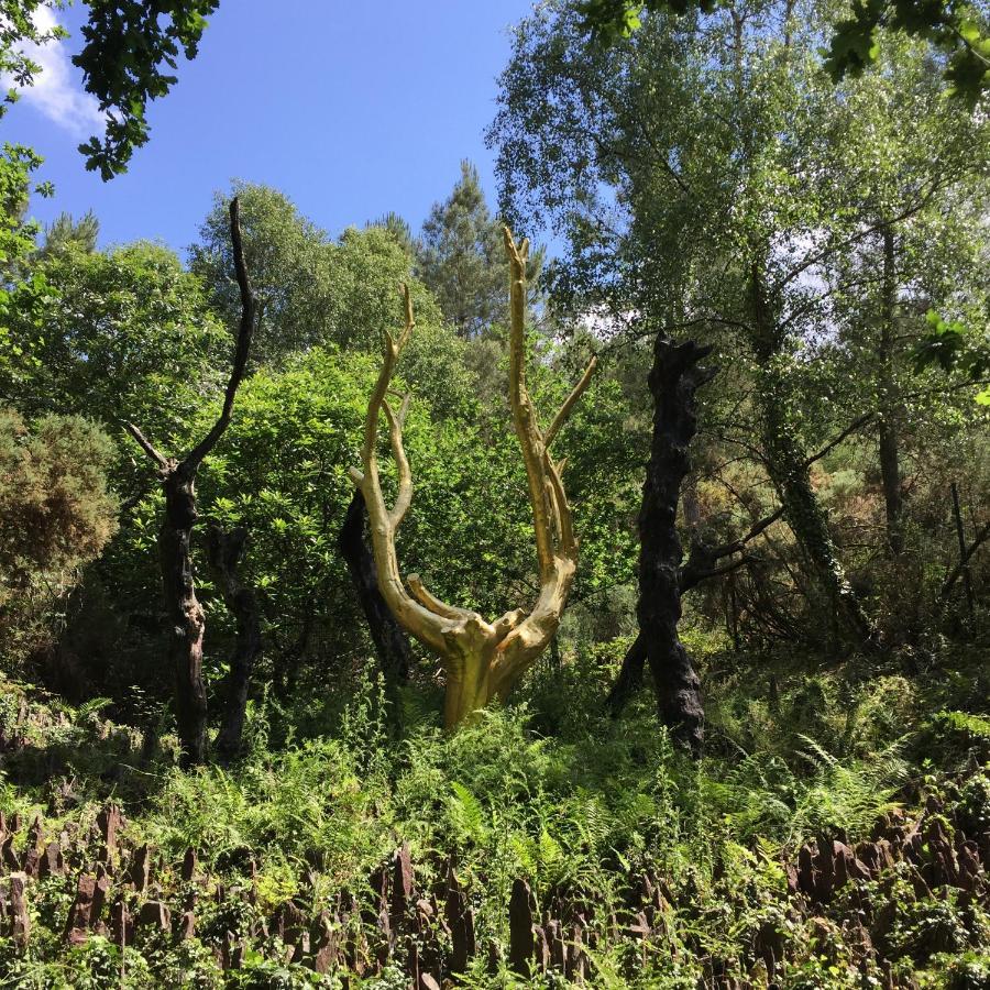 L'Hotie De Broceliande, Au Coeur Des Sites Naturels Et Legendaires Paimpont Buitenkant foto
