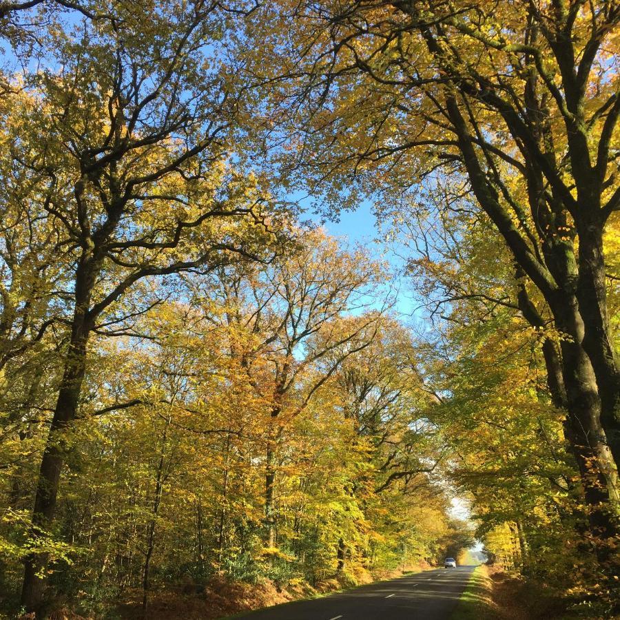 L'Hotie De Broceliande A Paimpont, Au Coeur Des Sites Naturels Et Legendaires Bed and Breakfast Buitenkant foto