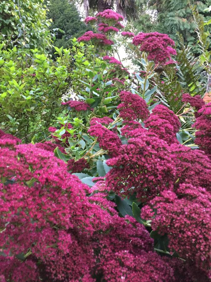 L'Hotie De Broceliande, Au Coeur Des Sites Naturels Et Legendaires Paimpont Buitenkant foto