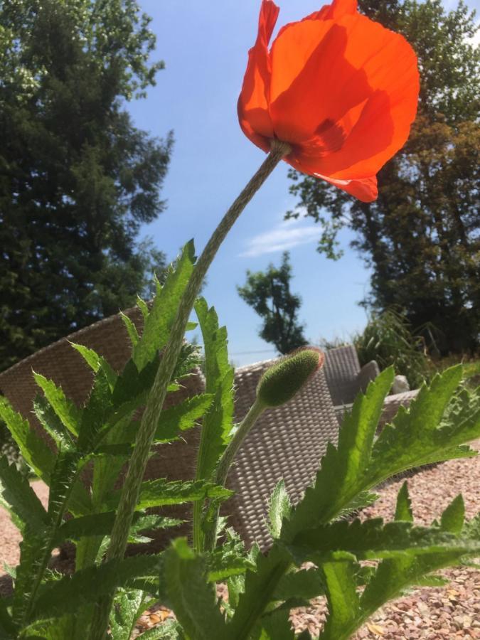 L'Hotie De Broceliande A Paimpont, Au Coeur Des Sites Naturels Et Legendaires Bed and Breakfast Buitenkant foto