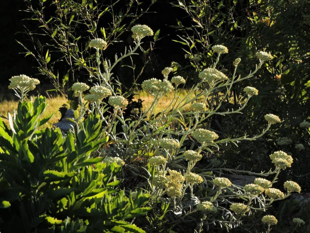 L'Hotie De Broceliande, Au Coeur Des Sites Naturels Et Legendaires Paimpont Buitenkant foto