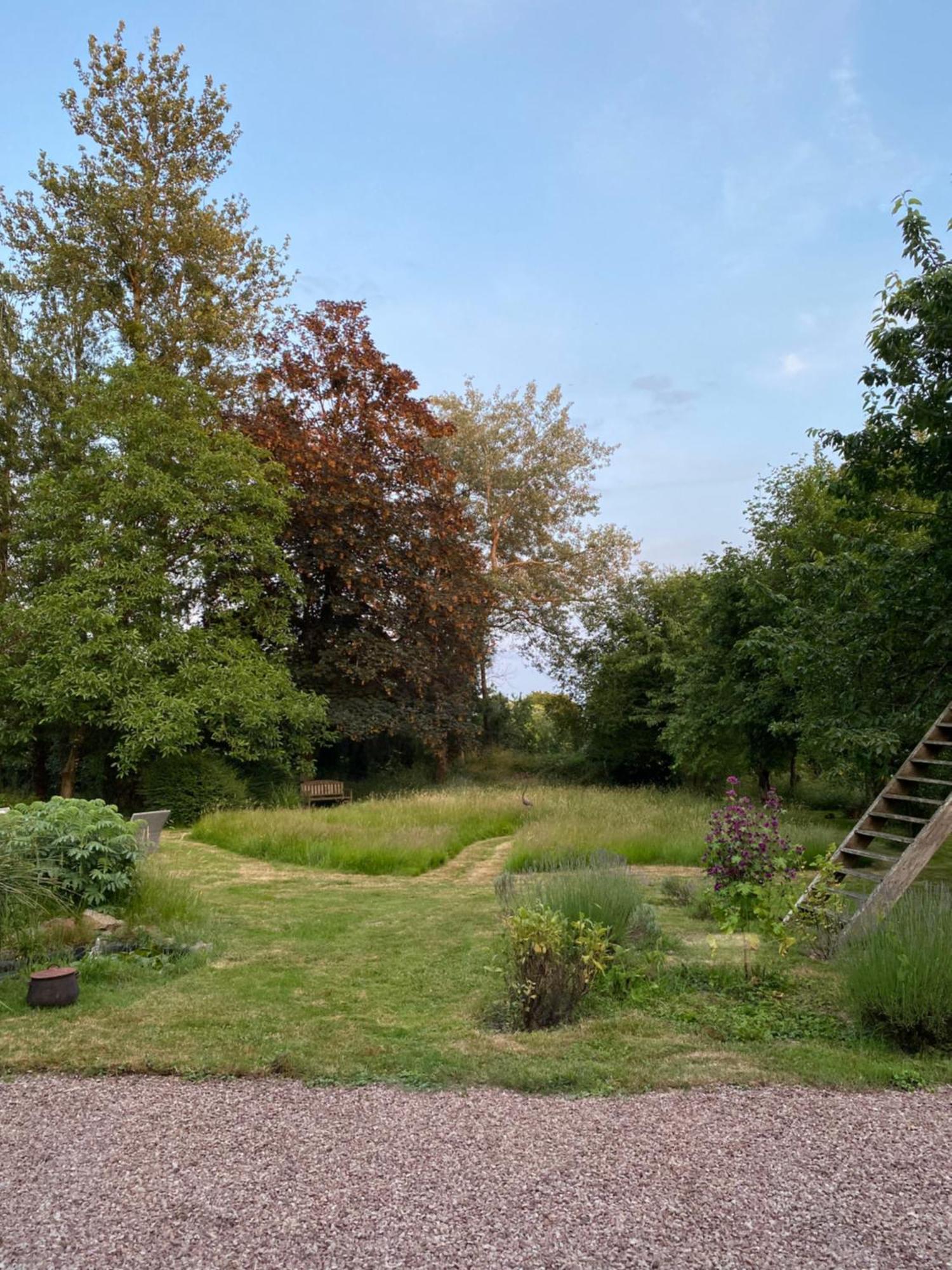 L'Hotie De Broceliande A Paimpont, Au Coeur Des Sites Naturels Et Legendaires Bed and Breakfast Buitenkant foto