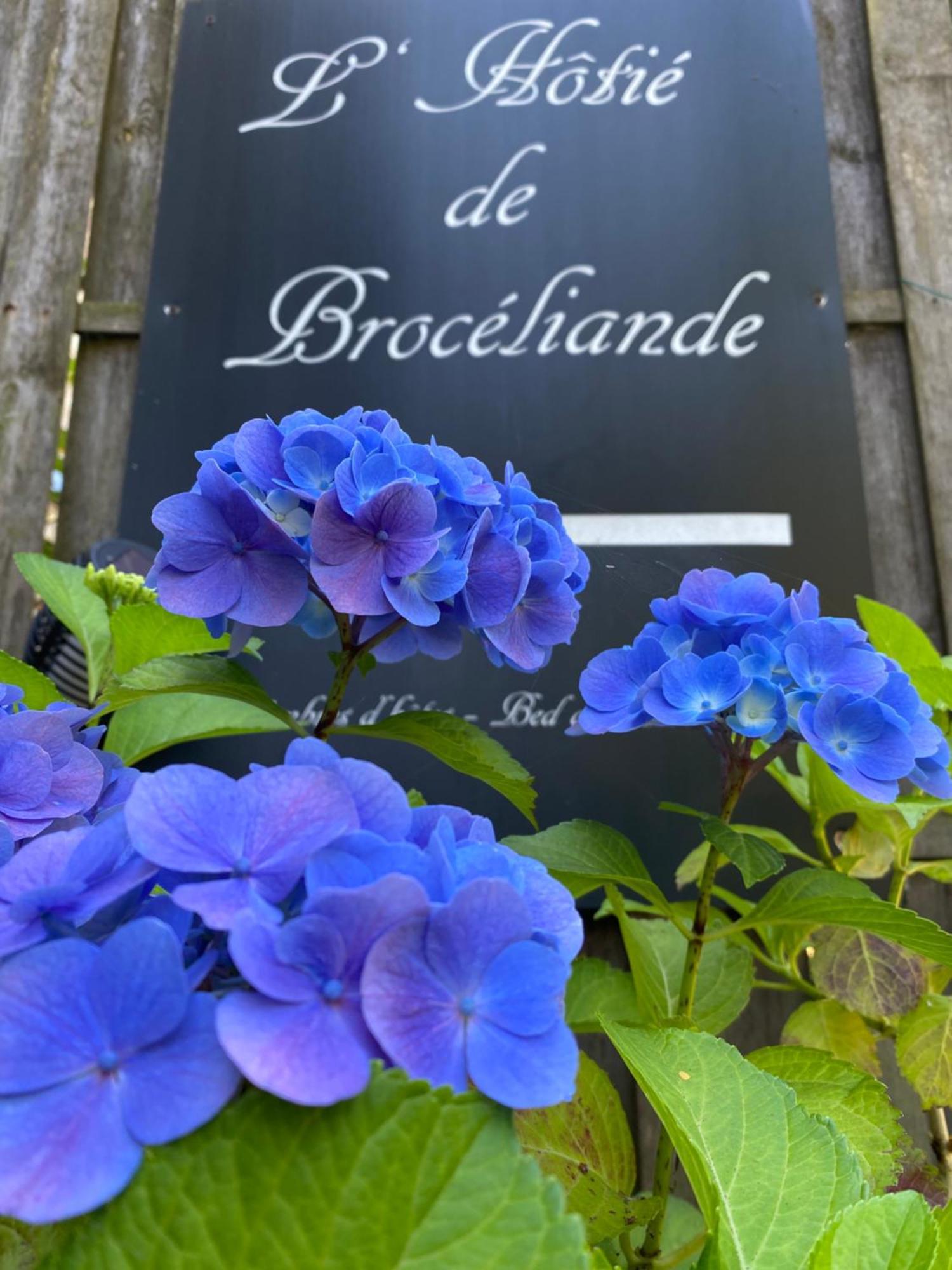 L'Hotie De Broceliande A Paimpont, Au Coeur Des Sites Naturels Et Legendaires Bed and Breakfast Buitenkant foto