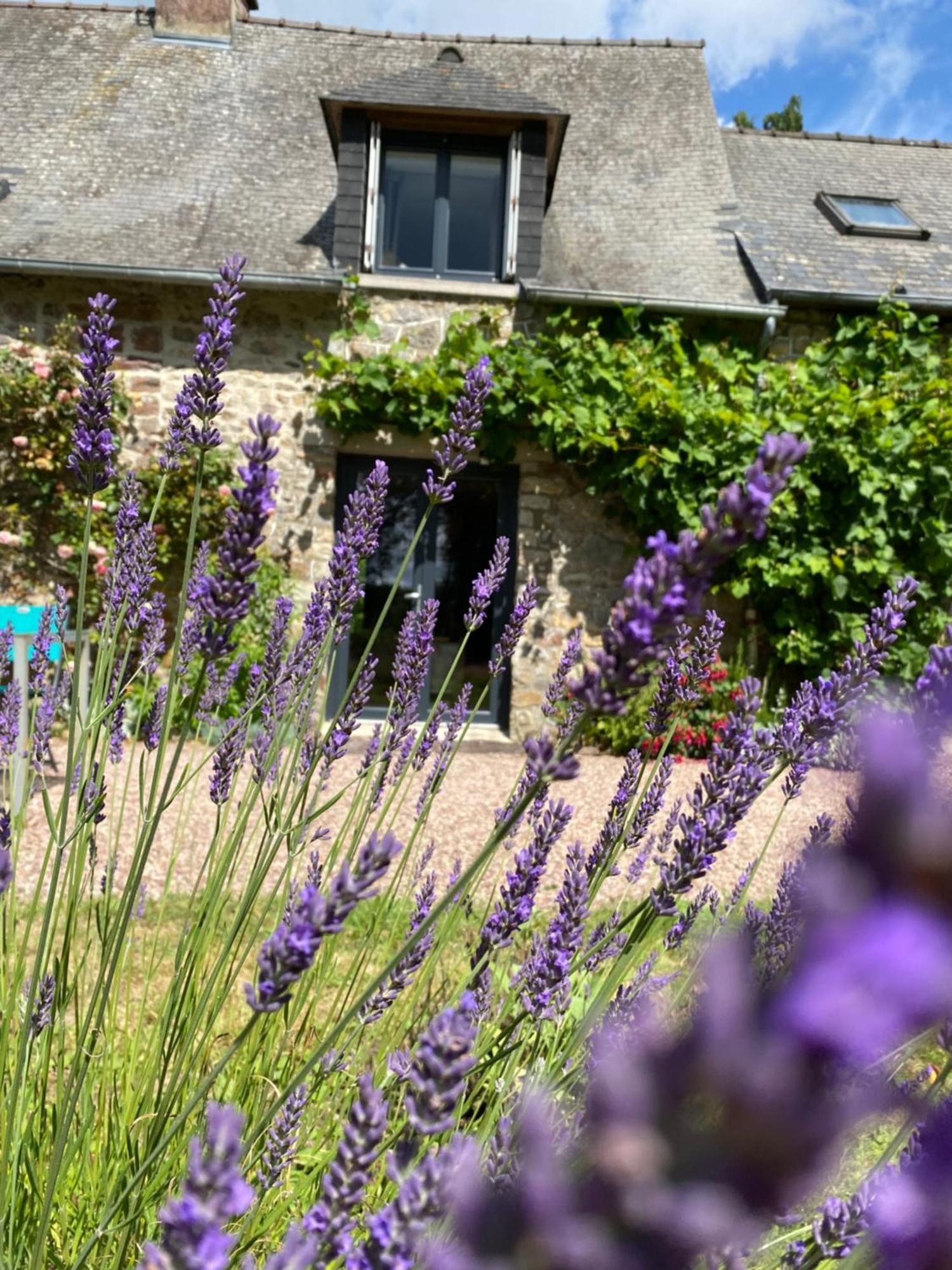 L'Hotie De Broceliande, Au Coeur Des Sites Naturels Et Legendaires Paimpont Buitenkant foto