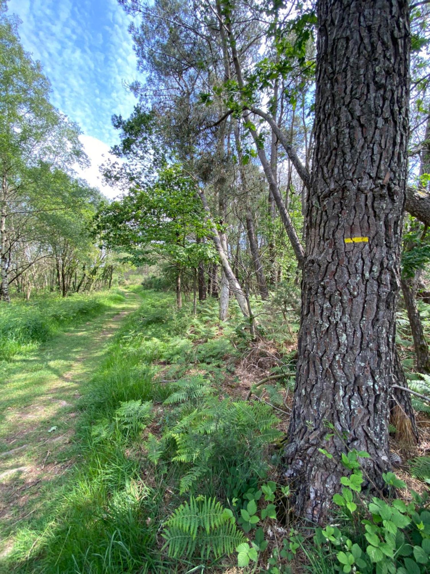 L'Hotie De Broceliande A Paimpont, Au Coeur Des Sites Naturels Et Legendaires Bed and Breakfast Buitenkant foto